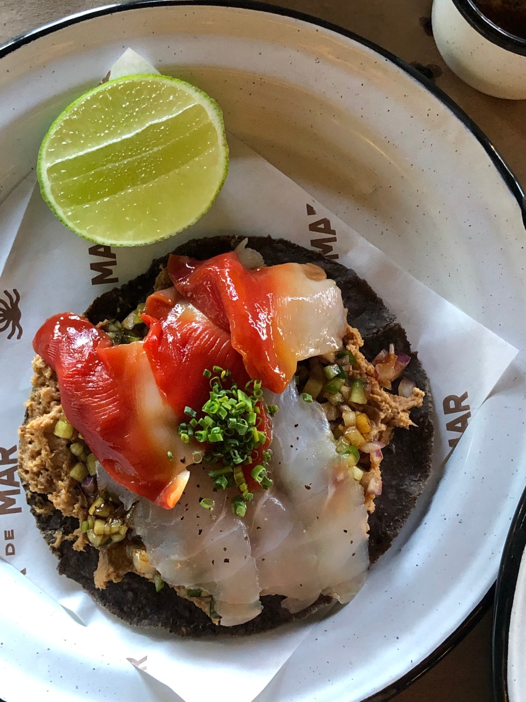 Newsletter #5: Toros de Tijuana Tours – Innato Review – Dumb Influencers and August&nbsp;Tours